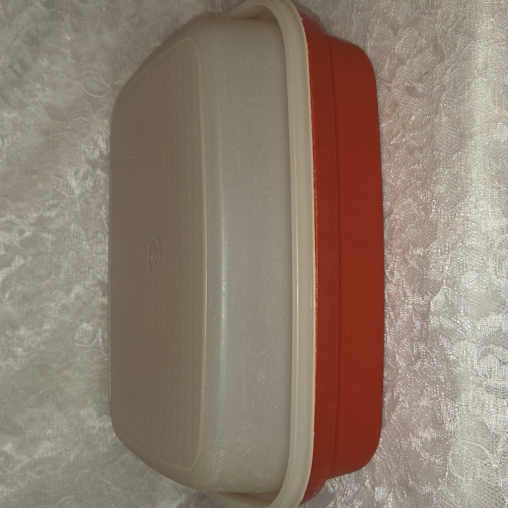 Tupperware: Marinade Container